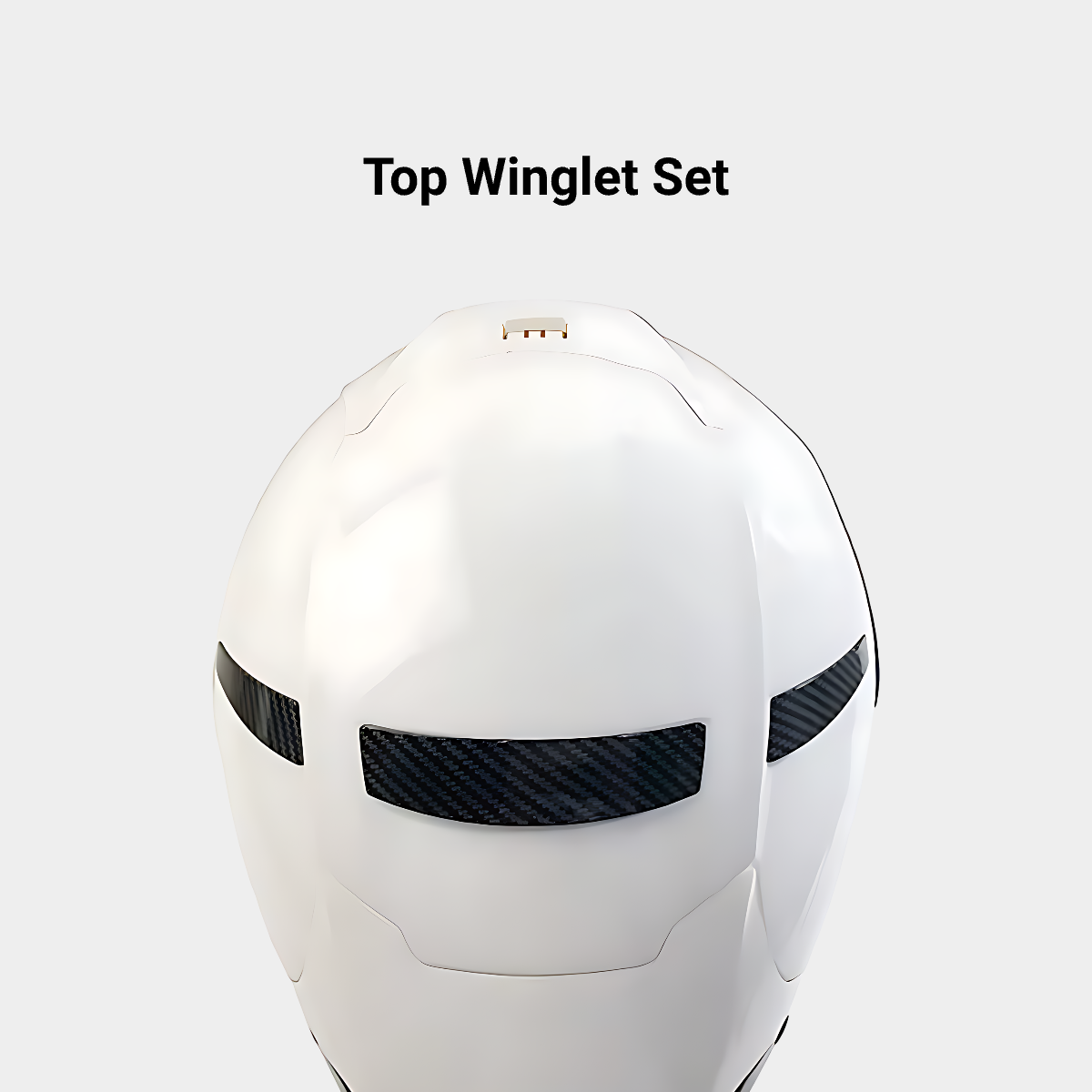 Winglets for SHOEI X14